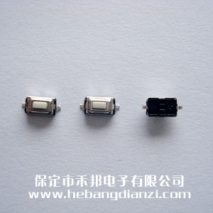 贴(tiē)片2脚(jiǎo)按(àn)键 贴片(piàn)按键