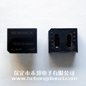 485隔离模块 TD301D485H