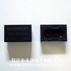 485隔离模块 TD312P485H