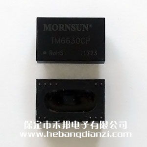 隔离变送器(qì) TM6630CP