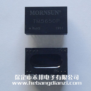 隔离变送器 TM5650P